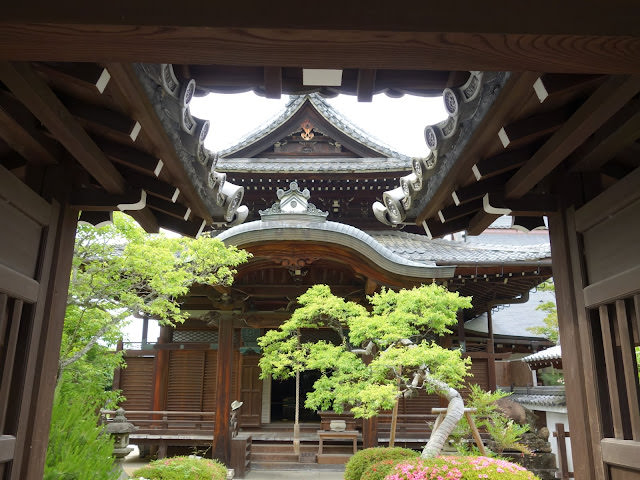 京都: 南禪寺、天授庵 晶瑩剔透的新綠色星星