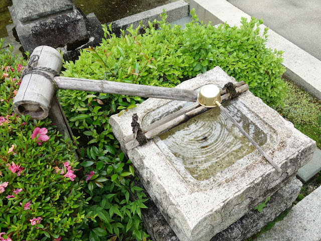 京都: 南禪寺、天授庵 晶瑩剔透的新綠色星星