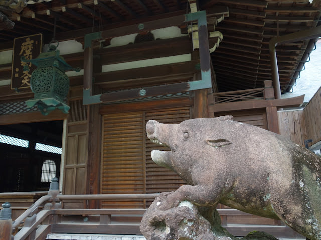 京都: 南禪寺、天授庵 晶瑩剔透的新綠色星星