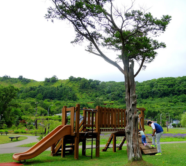 北海道洞爺湖: 洞爺湖乃之風度假酒店、湖畔雕刻公園、有珠山纜車 [2Y6M]　