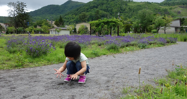 北海道洞爺湖: 洞爺湖乃之風度假酒店、湖畔雕刻公園、有珠山纜車 [2Y6M]　