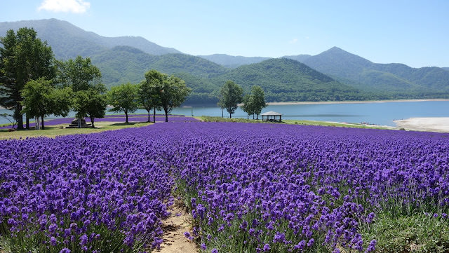 南富良野 金山湖