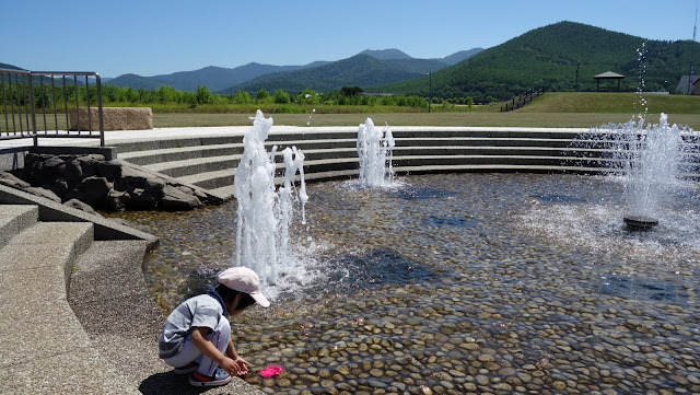 北海道薰衣草 南富良野 金山湖畔 純淨的薰衣草園