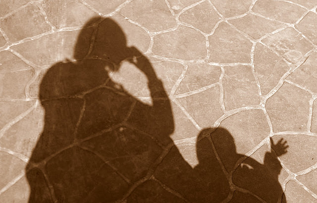 Collection of Shadows 。 影子