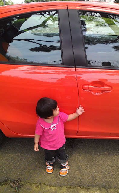 Prius C 小開箱 + 小小模特兒代言