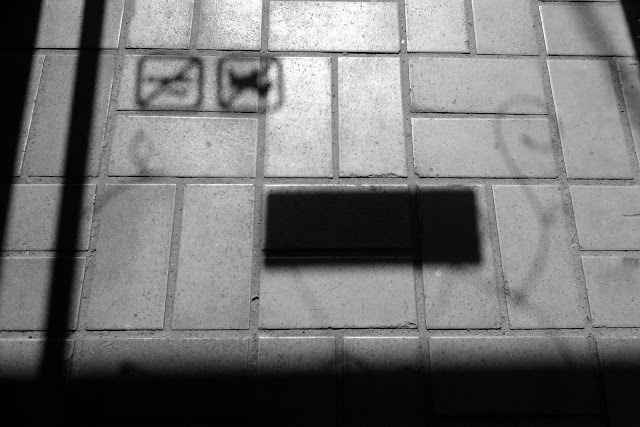 Collection of Shadows 。 影子