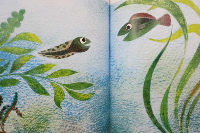 [Book] 用不同的眼睛看世界: Fish is Fish