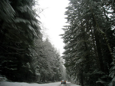 Seattle 西雅圖近郊的滑雪場。Mt. Baker、Sumit at Snoqualmie 、Stevens Pass、Crystal Mountain、加拿大惠斯勒滑雪場
