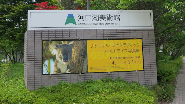 散步 河口湖景點 Kawaguchiko