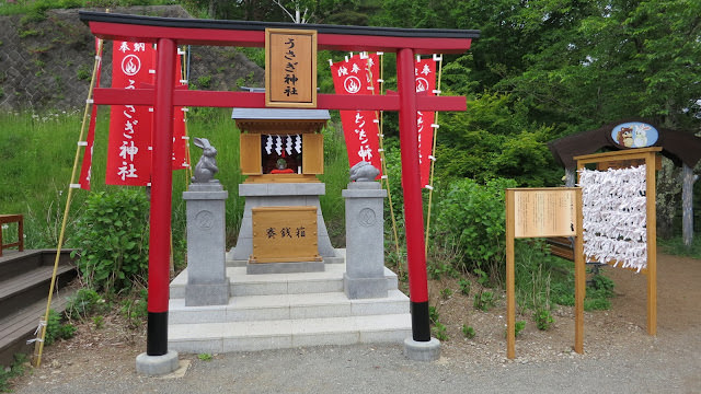 散步 河口湖景點 Kawaguchiko