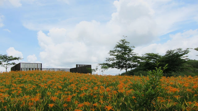 吹吹風 小旅行 花蓮景點紀錄: 太魯閣、林田山、石梯坪、六十石山金針花、阿德南斯民宿、花蓮市