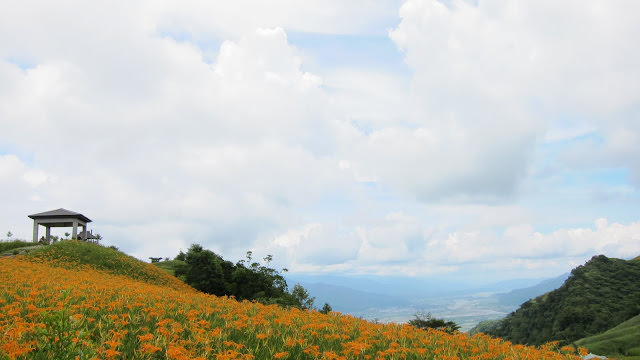 吹吹風 小旅行 花蓮景點紀錄: 太魯閣、林田山、石梯坪、六十石山金針花、阿德南斯民宿、花蓮市