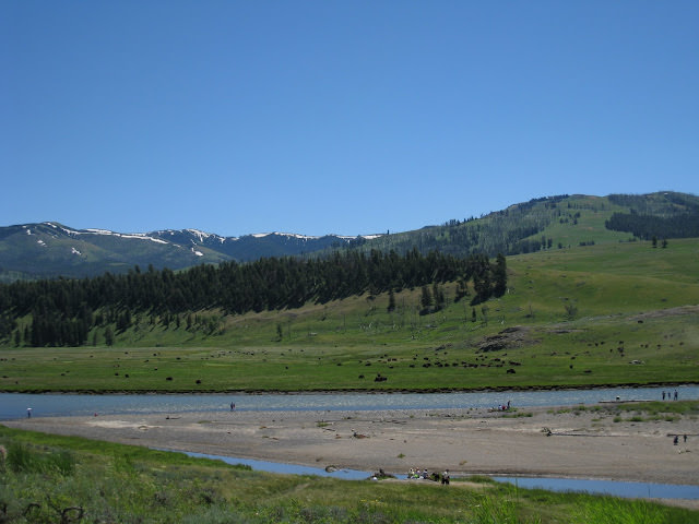 Yellowstone National Park 黃石國家公園 所有你能想像的夢幻顏色