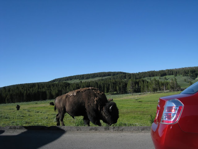 Yellowstone National Park 黃石國家公園 所有你能想像的夢幻顏色
