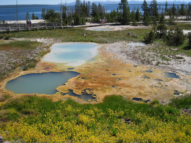 Yellowstone National Park 黃石國家公園 所有你能想像的夢幻顏色