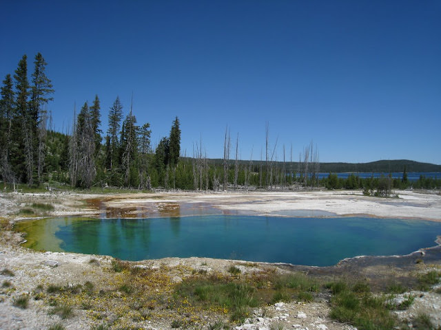 Yellowstone National Park 黃石國家公園 所有你能想像的夢幻顏色
