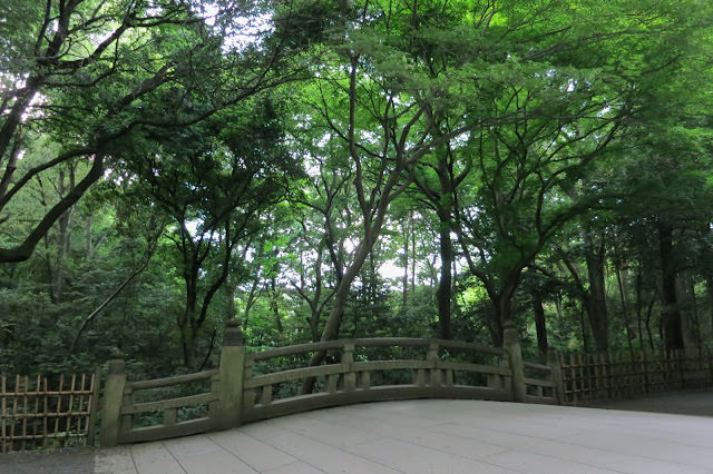 東京 水上巴士、六本木森美術館、築地市場、明治神宮、表參道