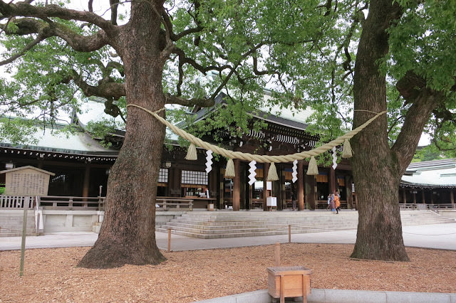 東京 水上巴士、六本木森美術館、築地市場、明治神宮、表參道