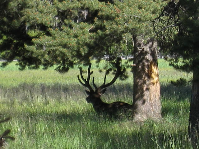 Yellowstone National Park 黃石國家公園 所有你能想像的夢幻顏色