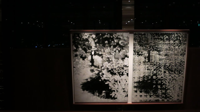 Park Hyatt, Tokyo 東京凱悅花園酒店。 朝聖 愛情不用翻譯 電影場景
