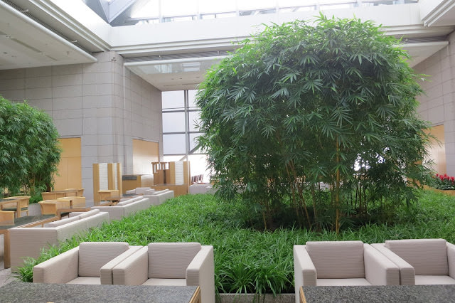 Park Hyatt, Tokyo 東京凱悅花園酒店。 朝聖 愛情不用翻譯 電影場景