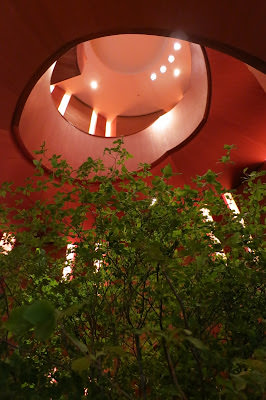 Park Hyatt, Tokyo 東京凱悅花園酒店。 朝聖 愛情不用翻譯 電影場景