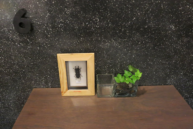 伊聖詩私房書櫃 Charming Reading Space with Aroma of Food and Herbal Essences