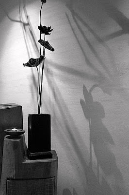 Collection of Shadows 。 影子