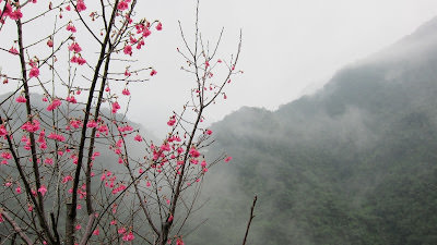 寵自己 小旅行: Volando Urai 馥蘭朵烏來、瀑布公園、La Villa