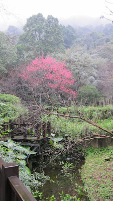 寵自己 小旅行: Volando Urai 馥蘭朵烏來、瀑布公園、La Villa