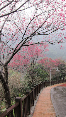 寵自己 小旅行: Volando Urai 馥蘭朵烏來、瀑布公園、La Villa
