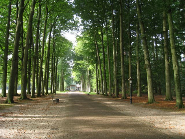 The Netherlands 初秋荷蘭的大城小鎮 – II: 羅宮 Paleis Het Loo、羊角村 Giethoorn、沃倫丹 Volendam、阿姆斯特丹 Amsterdam