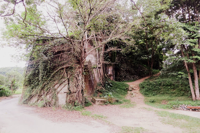 深呼吸 小旅行: 三義木雕博物館、樹也Villa、龍騰斷橋