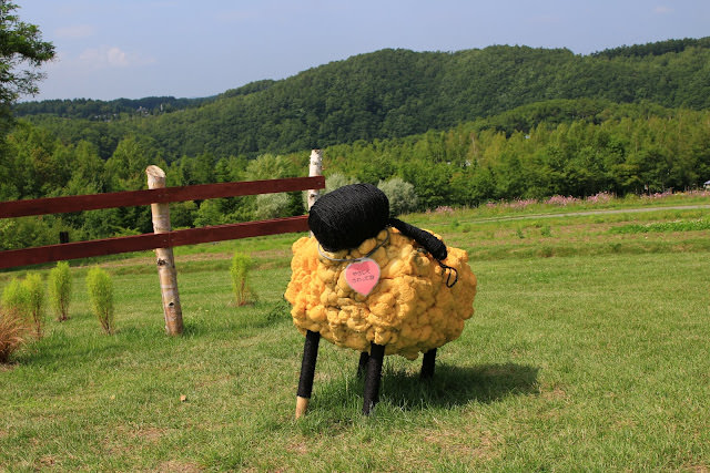 北海道 公園巡禮: 國營瀧野鈴蘭丘陵公園、札幌大通公園、Moere 沼公園