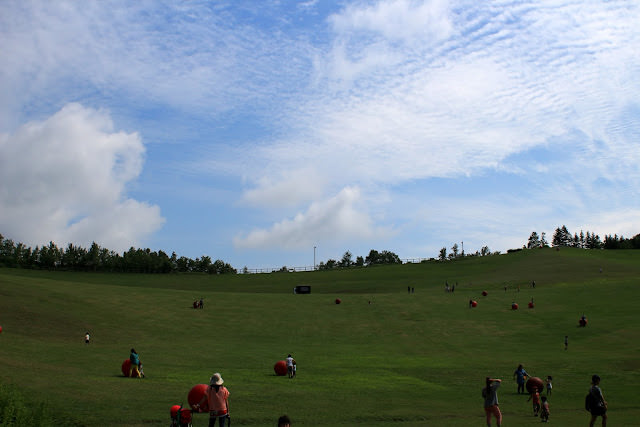 北海道 公園巡禮: 國營瀧野鈴蘭丘陵公園、札幌大通公園、Moere 沼公園