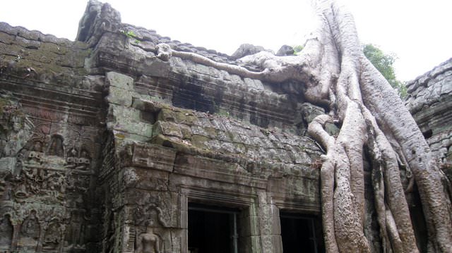 Angkor 吳哥窟。世界遺產之旅+蜜月旅行