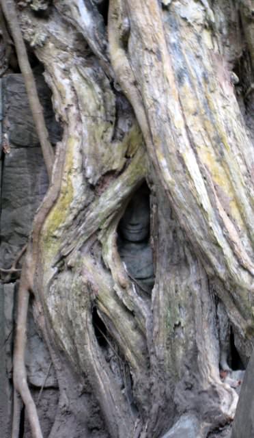 Angkor 吳哥窟。世界遺產之旅+蜜月旅行