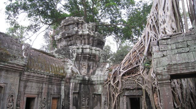 Angkor 吳哥窟。世界遺產之旅+蜜月旅行