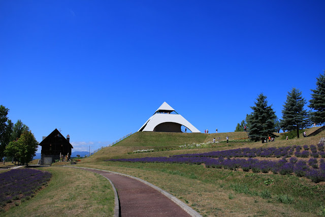 美瑛、富良野和麓鄉: 富良野公寓式飯店 Fresh Powder Furano、富田農場、森林精靈的陽台、北西之丘、cafe de la paix、麓鄉之森撿來的家、麵包超人工坊、金山湖、後藤純男美術館