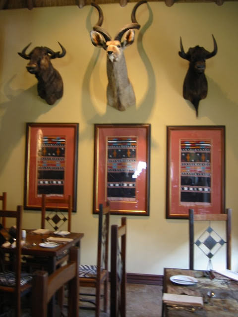 南非 Entabeni Game Reserve, South Africa  欣賞野生動物遊獵旅行、畢生難忘夢幻星空