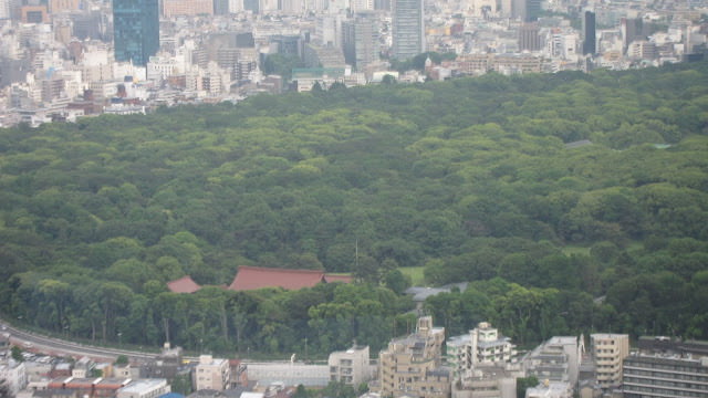 Park Hyatt, Tokyo 東京凱悅花園酒店。 朝聖 愛情不用翻譯 電影場景