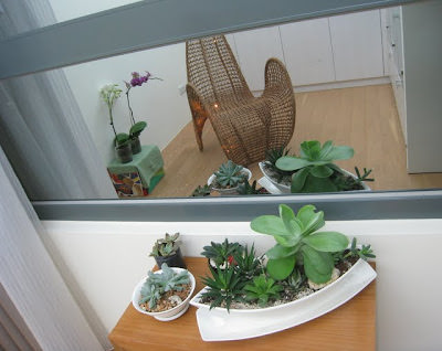 Collection of Reflections 。 映像