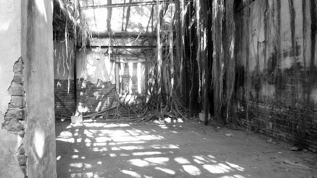Collection of Shadows 。 影子