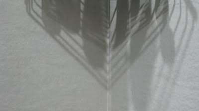 Collection of Shadows 。 影子