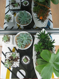 Collection of Reflections 。 映像