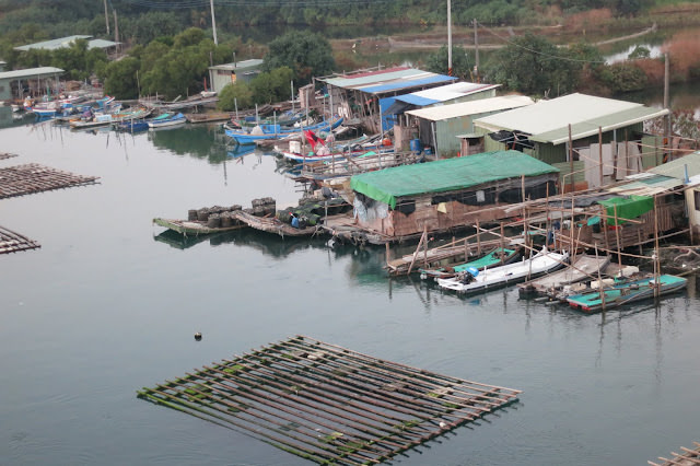 Birthday + 3rd Anniversary: 世外桃源與創新建築 台南 漁光島 毛屋