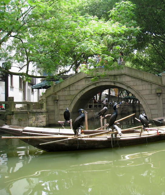 江南水鄉：蘇州、同里