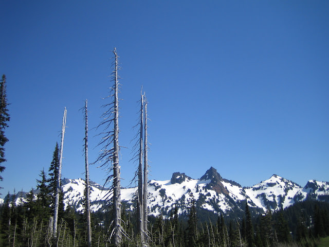 西雅圖 愛玩捉迷藏的火山 雷尼爾山 Mt. Rainier
