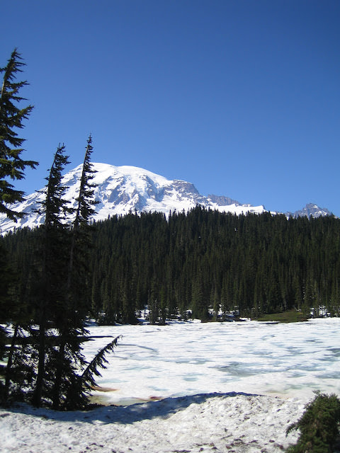 西雅圖 愛玩捉迷藏的火山 雷尼爾山 Mt. Rainier