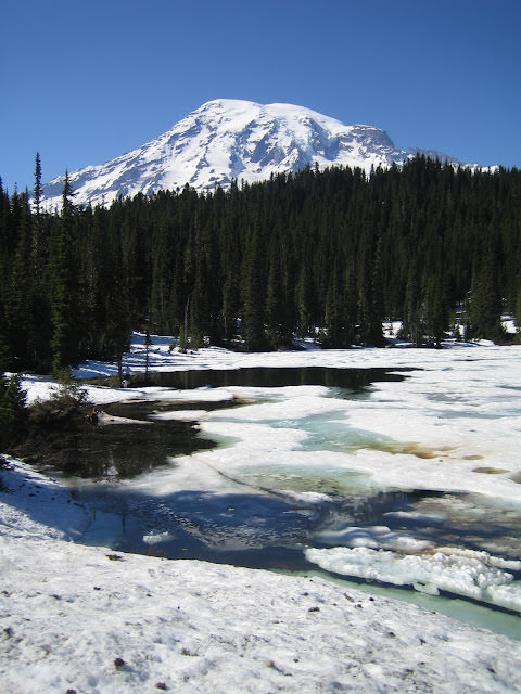 西雅圖 愛玩捉迷藏的火山 雷尼爾山 Mt. Rainier